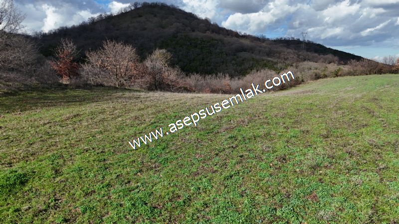 7.700 m2 Çiftlik, Bağ-Bahçe, Hobi Bahçe, Kadastro Yola Cepheli