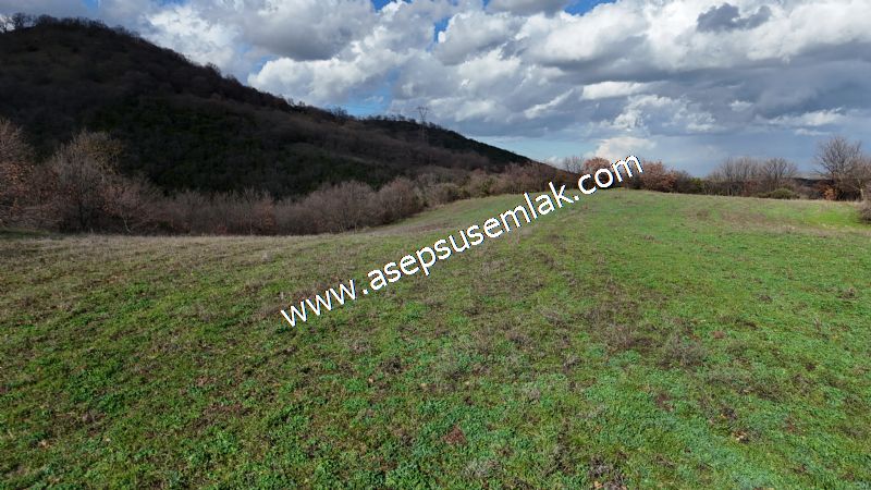 7.700 m2 Çiftlik, Bağ-Bahçe, Hobi Bahçe, Kadastro Yola Cepheli