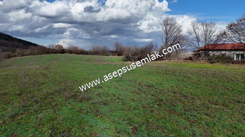 7.700 m2 Çiftlik, Bağ-Bahçe, Hobi Bahçe, Kadastro Yola Cepheli