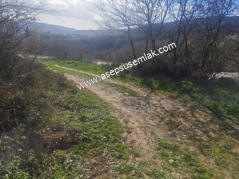 7.700 m2 Çiftlik, Bağ-Bahçe, Hobi Bahçe, Kadastro Yola Cepheli