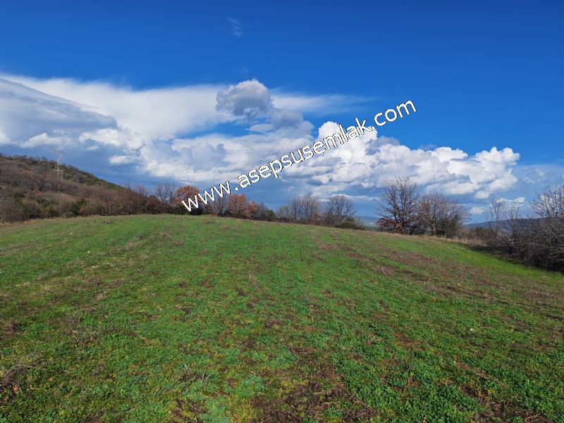 7.700 m2 Çiftlik, Bağ-Bahçe, Hobi Bahçe, Kadastro Yola Cepheli