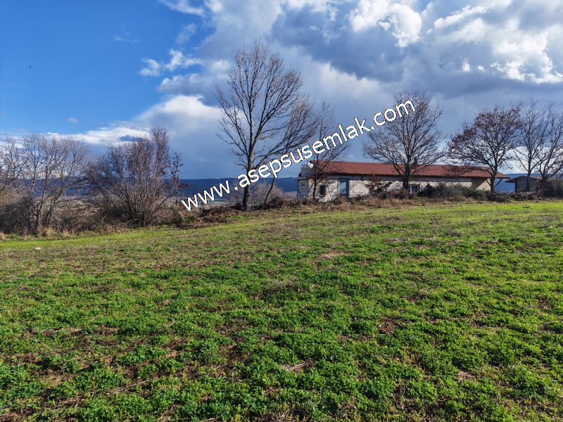 7.700 m2 Çiftlik, Bağ-Bahçe, Hobi Bahçe, Kadastro Yola Cepheli