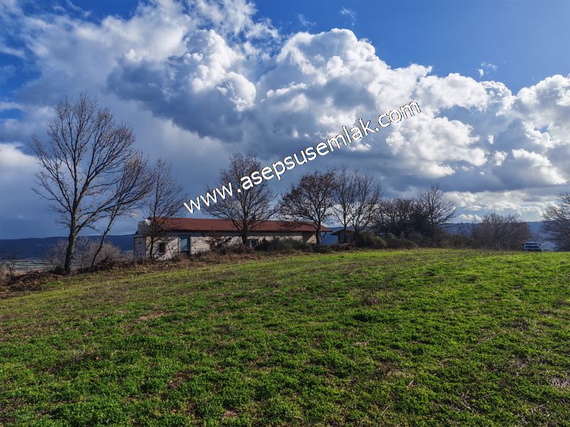 7.700 m2 Çiftlik, Bağ-Bahçe, Hobi Bahçe, Kadastro Yola Cepheli