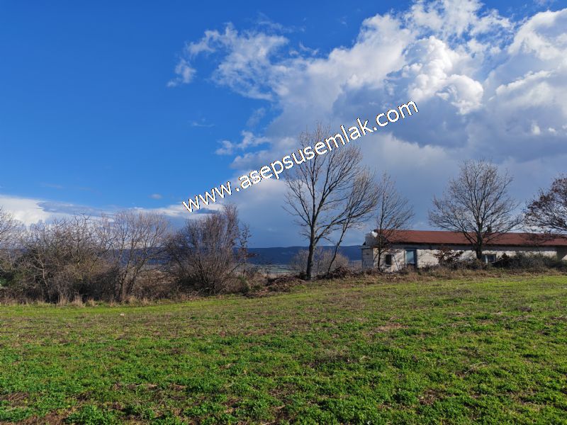 7.700 m2 Çiftlik, Bağ-Bahçe, Hobi Bahçe, Kadastro Yola Cepheli