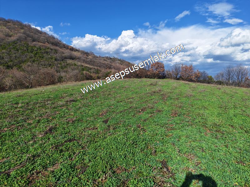 7.700 m2 Çiftlik, Bağ-Bahçe, Hobi Bahçe, Kadastro Yola Cepheli