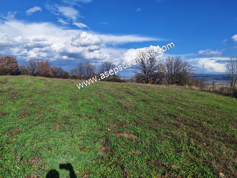 7.700 m2 Çiftlik, Bağ-Bahçe, Hobi Bahçe, Kadastro Yola Cepheli