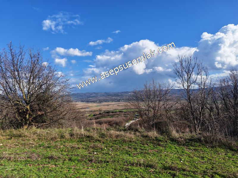 7.700 m2 Çiftlik, Bağ-Bahçe, Hobi Bahçe, Kadastro Yola Cepheli