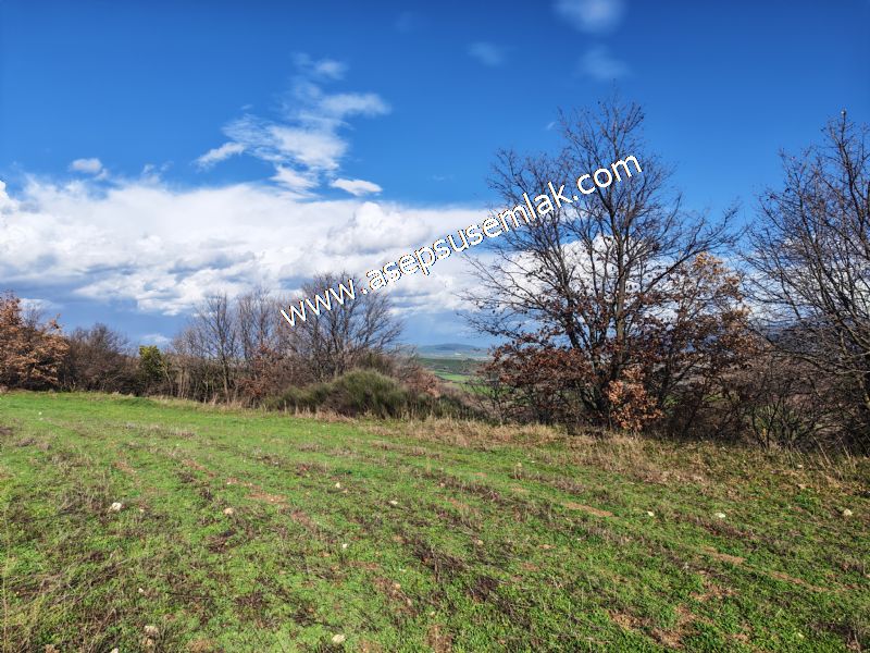 7.700 m2 Çiftlik, Bağ-Bahçe, Hobi Bahçe, Kadastro Yola Cepheli