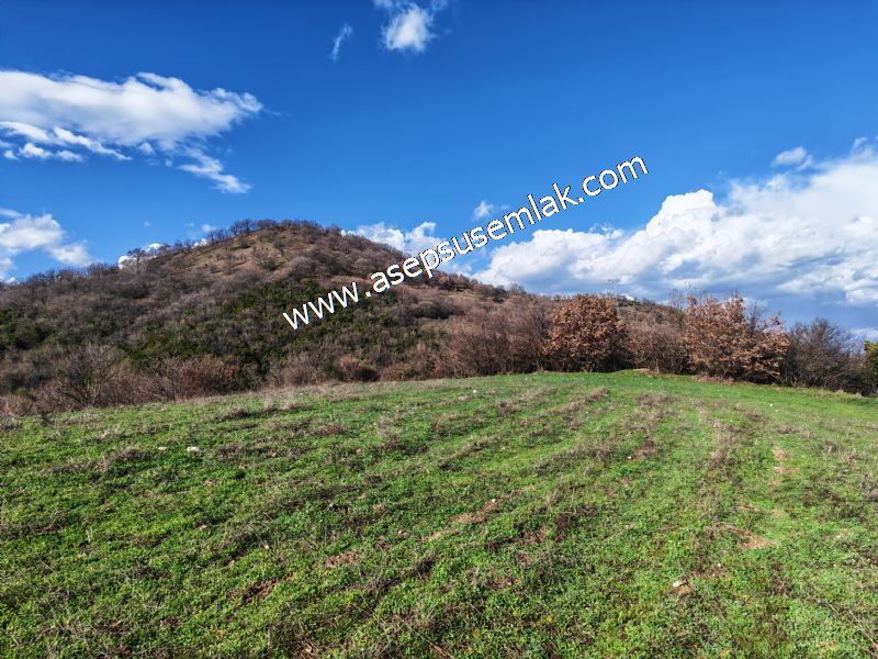 7.700 m2 Çiftlik, Bağ-Bahçe, Hobi Bahçe, Kadastro Yola Cepheli