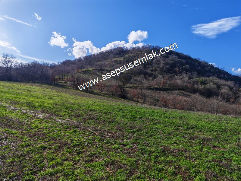 7.700 m2 Çiftlik, Bağ-Bahçe, Hobi Bahçe, Kadastro Yola Cepheli