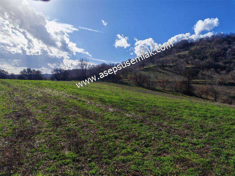 7.700 m2 Çiftlik, Bağ-Bahçe, Hobi Bahçe, Kadastro Yola Cepheli