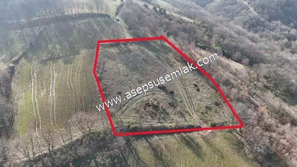 4.000m2 Tarla Bağ-Bahçe Kadastro Yola 1 Parsel Gönen Kavakoba