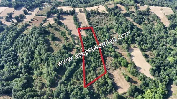 10.800 m2 Ormana Cepheli Tarla, Bağ-Bahçe, Hobi Bahçesi Fındıklı