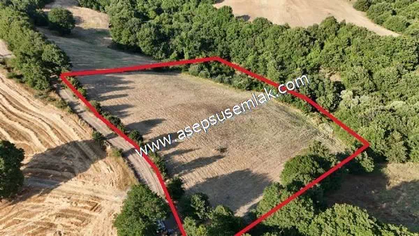 11.100 m2 Çiftlik, Bağ-Bahçe, Hobi Bahçe, Kadastro Yola Cepheli