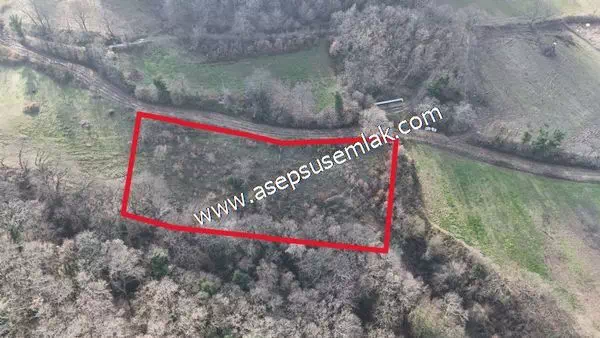 4.100 m2 Tarla Bağ-Bahçe Kadastro Yola Cepheli Kavakoba'da