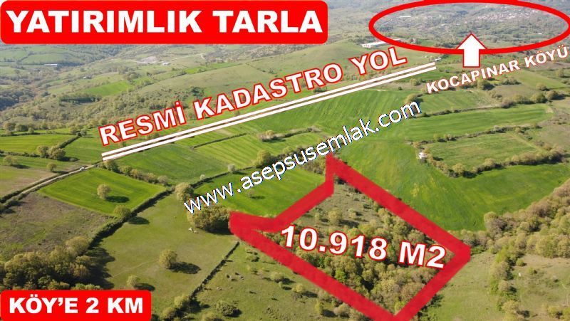 10.918 M2 Yatırımlık Tarla Arıcılık, Hayvancılık Orman'a Cepheli