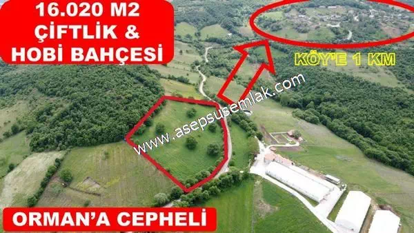 16.020 M2 Hayvancılık, Çiftlik, Meyva & Hobi Bahçesi Resmi Yolu
