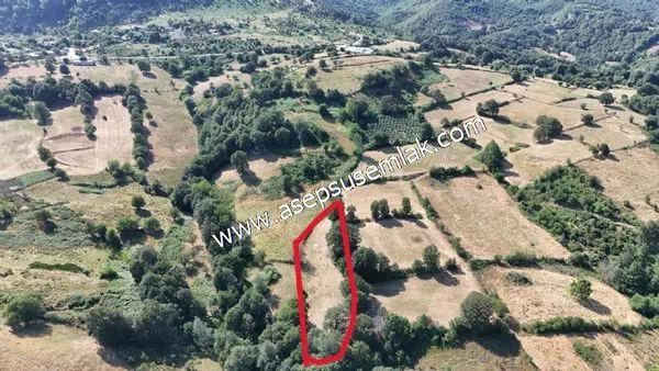 3.000 m2 Yatırımlık Tarla Bağ-Bahçe Resmi Kadastro Yolu Yoktur.