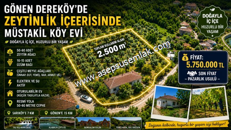 Dereköy'de Zeytinlik İçerisinde Müstakil Köy Evi – 2.500 m² Doğa ve Huzur
