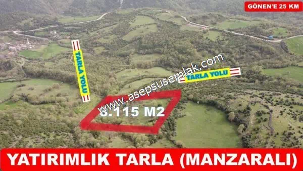 8.115 M2 Yatırımlık Tarla Arıcılık, Hayvancılık Orman'a Cepheli