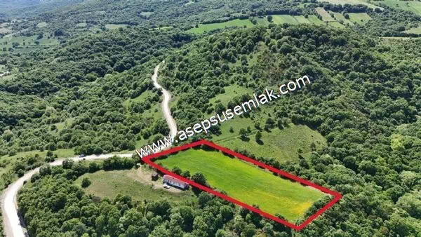 7.700 m2 Çiftlik, Bağ-Bahçe, Hobi Bahçe, Kadastro Yola Cepheli