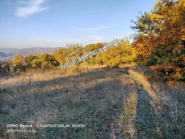 3.789 m2 Köy Altında Deniz Gören Yatırımlık Tarla