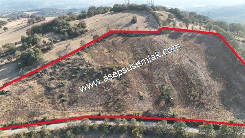 17.873 m2 Çiftlik, Bağ-Bahçe, Kadastro Yola Cepheli, Köy Manzara