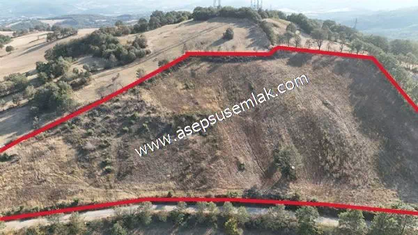 17.873 m2 Çiftlik, Bağ-Bahçe, Kadastro Yola Cepheli, Köy Manzara