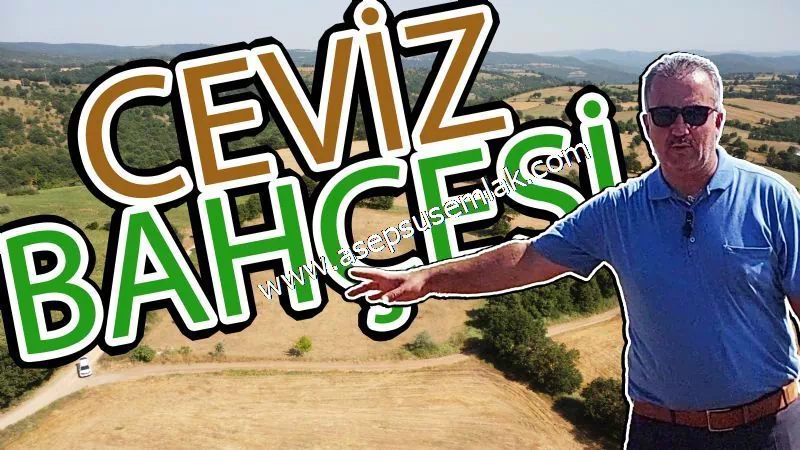 9 Dönüm Ceviz Bahçesi