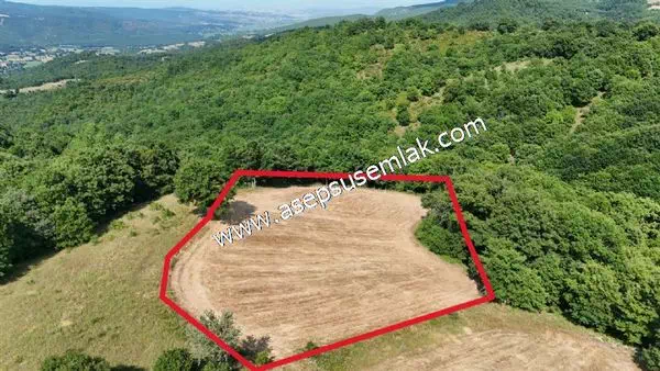 4.322 m2 Gönen Yatırımlık Tarla Bağ Bahçe Hobi Bahçesi Orman Var