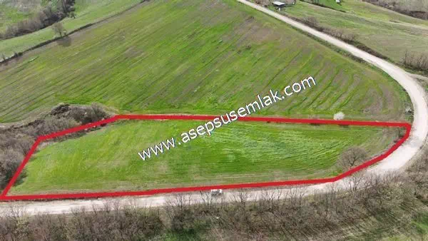 10.602 m2 Çiftlik, Bağ-Bahçe, Hobi Bahçe, Kadastro Yola Cepheli