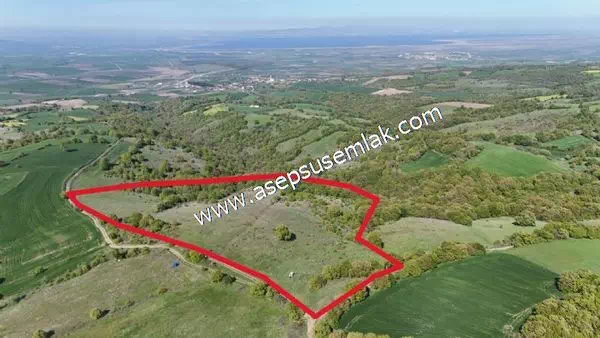 61.650 m2 Çiftlik, Bağ-Bahçe, Kadastro Yola Cepheli, Göl Manzara