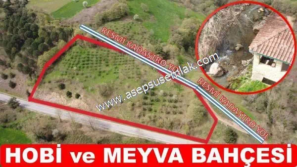 6.715 M2 Kadastro Yolu Var. Meyva & Hobi Bahçesi Dere'ye Cepheli