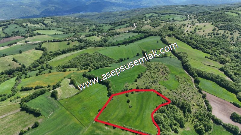 11.267 m2 Ormana Cepheli Tarla, Bağ-Bahçe, Hobi Bahçesi Kalburcu