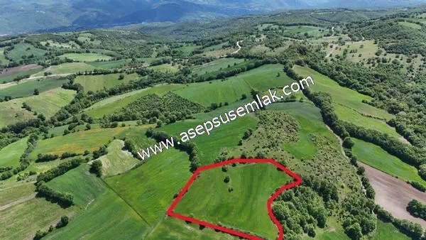 11.267 m2 Ormana Cepheli Tarla, Bağ-Bahçe, Hobi Bahçesi Kalburcu