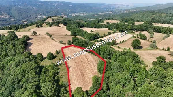 3.507 m2 Gönen Resmi Yolu Var Yatırımlık Bağ Bahçe Hobi Bahçesi