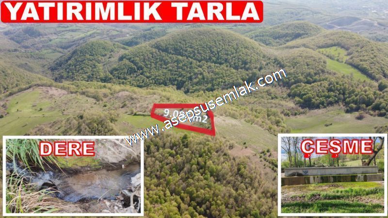 9.086 M2 Yatırımlık Tarla Arıcılık, Hayvancılık Orman'a Cepheli