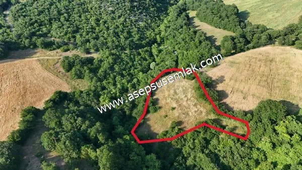 2.786 m2 Yatırımlık Tarla Bağ-Bahçe Resmi Kadastro Yolu Yoktur.