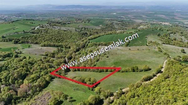 8.488 m2 Tarla Ormana Cepheli Bağ-Bahçe, Hobi Bahçe, Göl Manzara