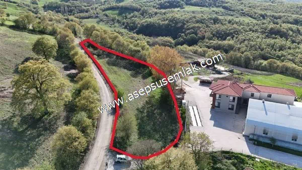 2.100 M2 Yatırımlık Meyva & Hobi Bahçesi Her Tarafı Resmi Yolu