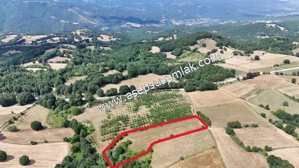 7.000 m2 Çiftlik Bağ-Bahçe Özel Yola Cephe Hobi Bahçe Yatırımlık