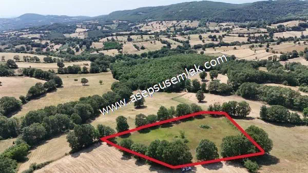 6.200 m2 Yatırımlık Tarla Bağ Bahçe Hobi Bahçesi Gönen Fındıklı