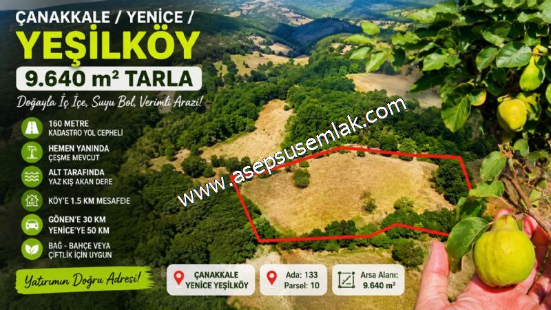 YENİCE YEŞİLKÖYDE 9.640 M² 160 MT KADASTRO YOLU CEPHELİ DERE VE ÇEŞME ÇİFTLİK & BAĞ-BAHÇE İÇİN UYGUN