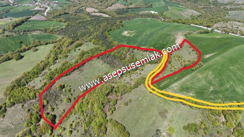 29.450 m2 Tarla Yola Cepheli Bağ-Bahçe, Hobi Bahçe, Yatırımlık