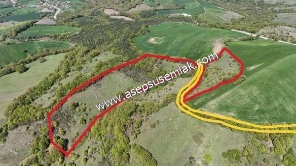 29.450 m2 Tarla Yola Cepheli Bağ-Bahçe, Hobi Bahçe, Yatırımlık